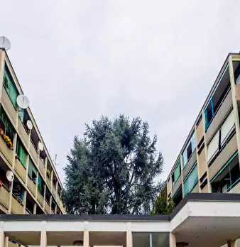 Foto annuncio 8