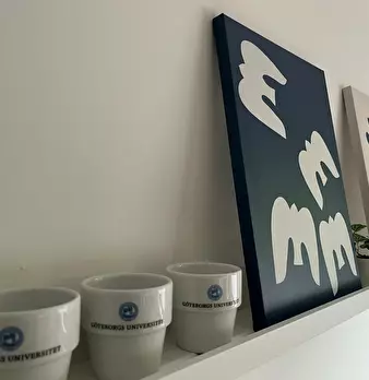 Foto annuncio 9