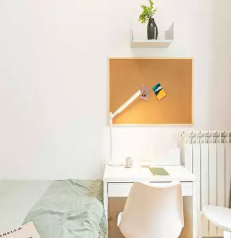 Foto annuncio 6