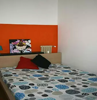 Foto annuncio 6