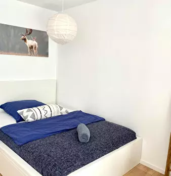 Foto annuncio 6