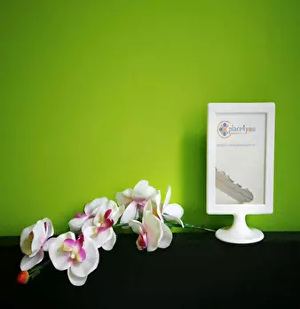 Foto annuncio 8