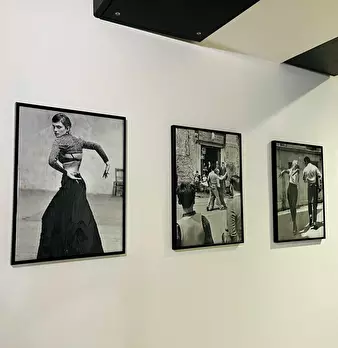 Foto annuncio 8