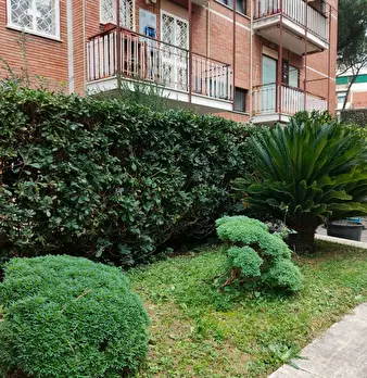 Foto annuncio 9