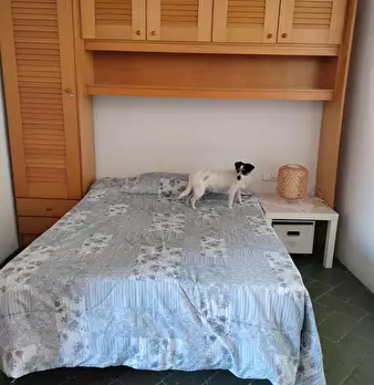 Foto annuncio 3