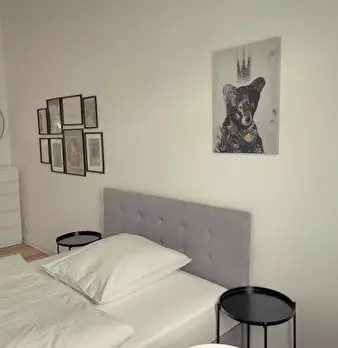 Foto annuncio 3