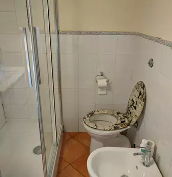 Foto annuncio 9