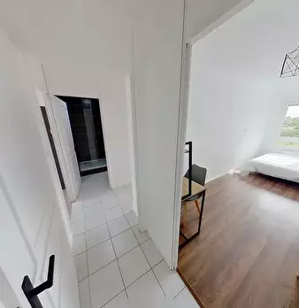 Foto annuncio 10