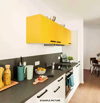 Foto annuncio 6
