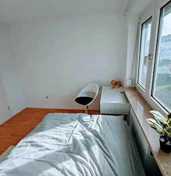 Foto annuncio 5