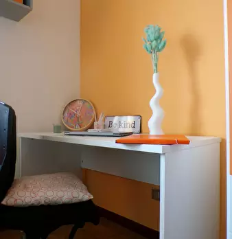 Foto annuncio 5