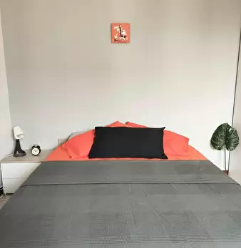 Foto annuncio 6