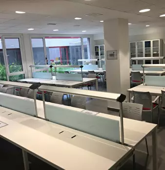 Foto annuncio 7