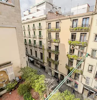 Foto annuncio 10