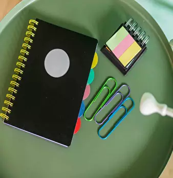 Foto annuncio 10