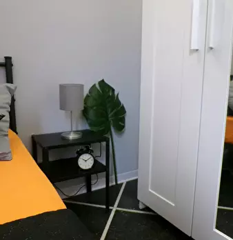 Foto annuncio 10