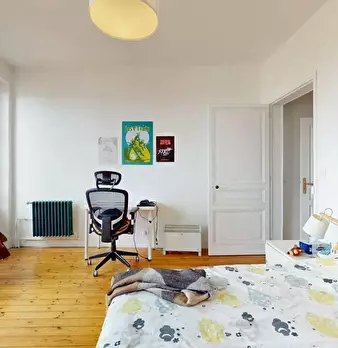 Foto annuncio 5