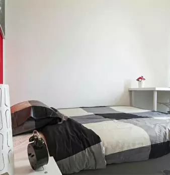 Foto annuncio 7