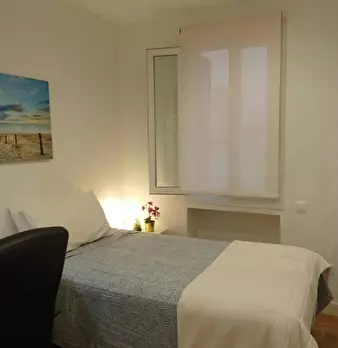 Foto annuncio 6