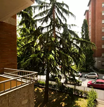 Foto annuncio 5