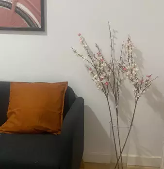 Foto annuncio 8