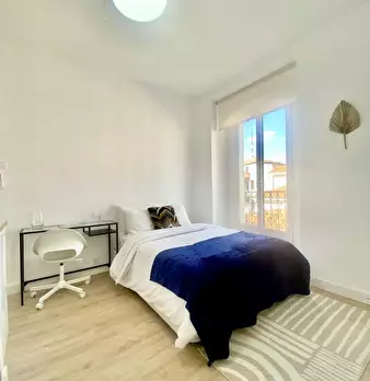 Foto annuncio 6