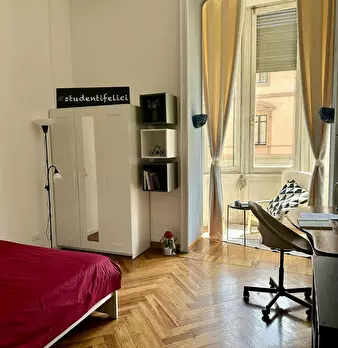 Foto annuncio 10
