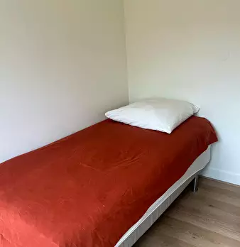 Foto annuncio 10