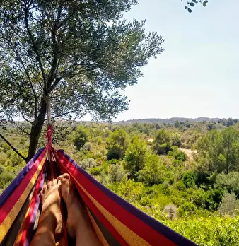 Foto annuncio 3