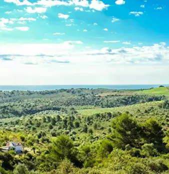 Foto annuncio 1