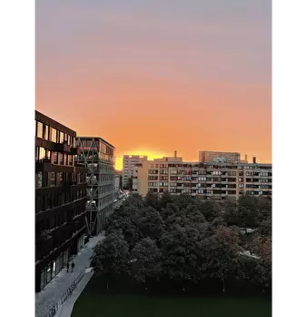 Foto annuncio 4