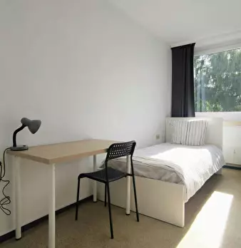 Foto annuncio 1
