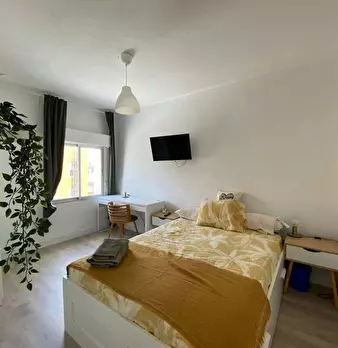 Foto annuncio 6