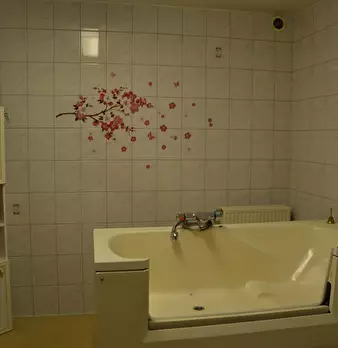Foto annuncio 8