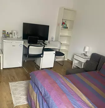 Foto annuncio 10