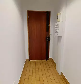 Foto annuncio 7