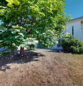 Foto annuncio 10