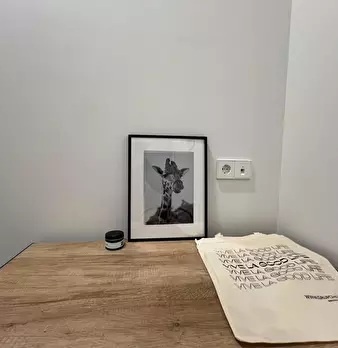 Foto annuncio 8
