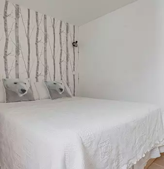 Foto annuncio 10