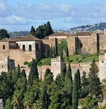 Foto annuncio 10