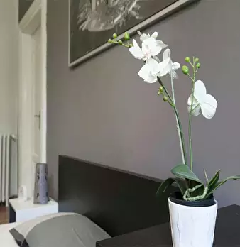 Foto annuncio 6