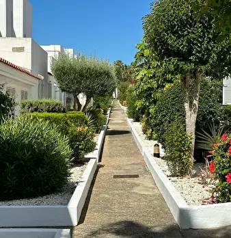 Foto annuncio 2