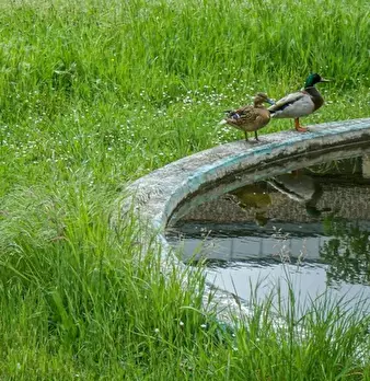 Foto annuncio 2