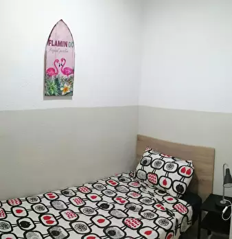 Foto annuncio 10