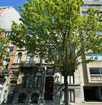 Foto annuncio 10