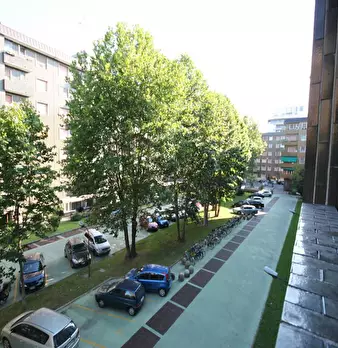 Foto annuncio 8