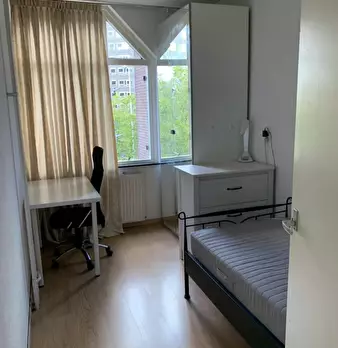 Foto annuncio 9