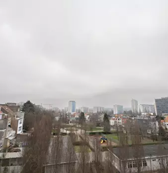 Foto annuncio 10