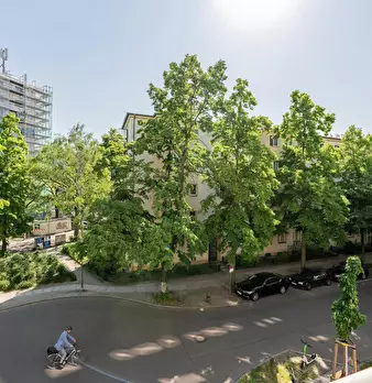 Foto annuncio 8