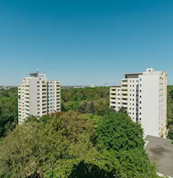 Foto annuncio 6